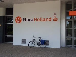 Flora Holland Hoofdingang (Aalsmeer)